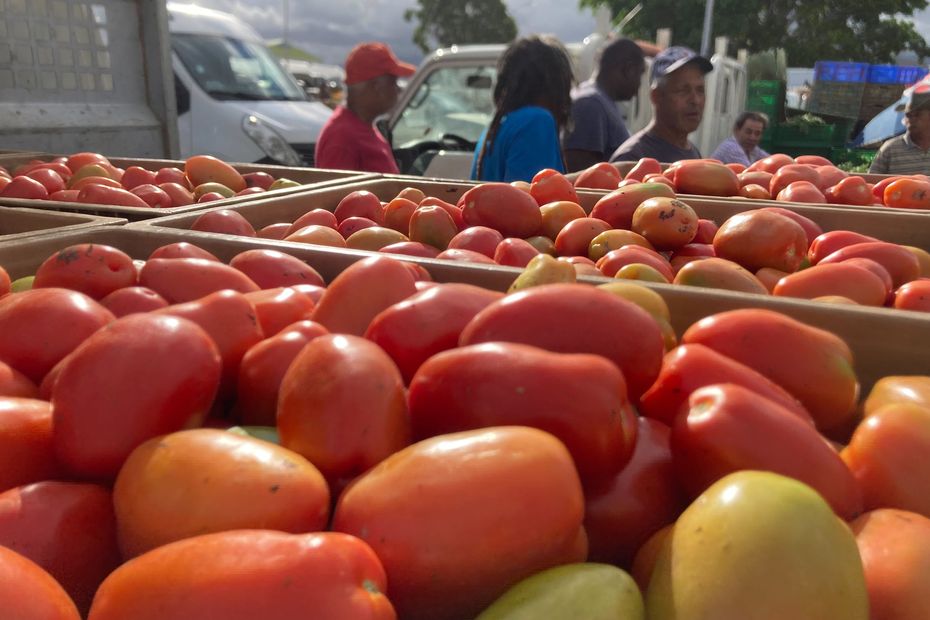 Vente de tomate sur les marchés à La Réunion