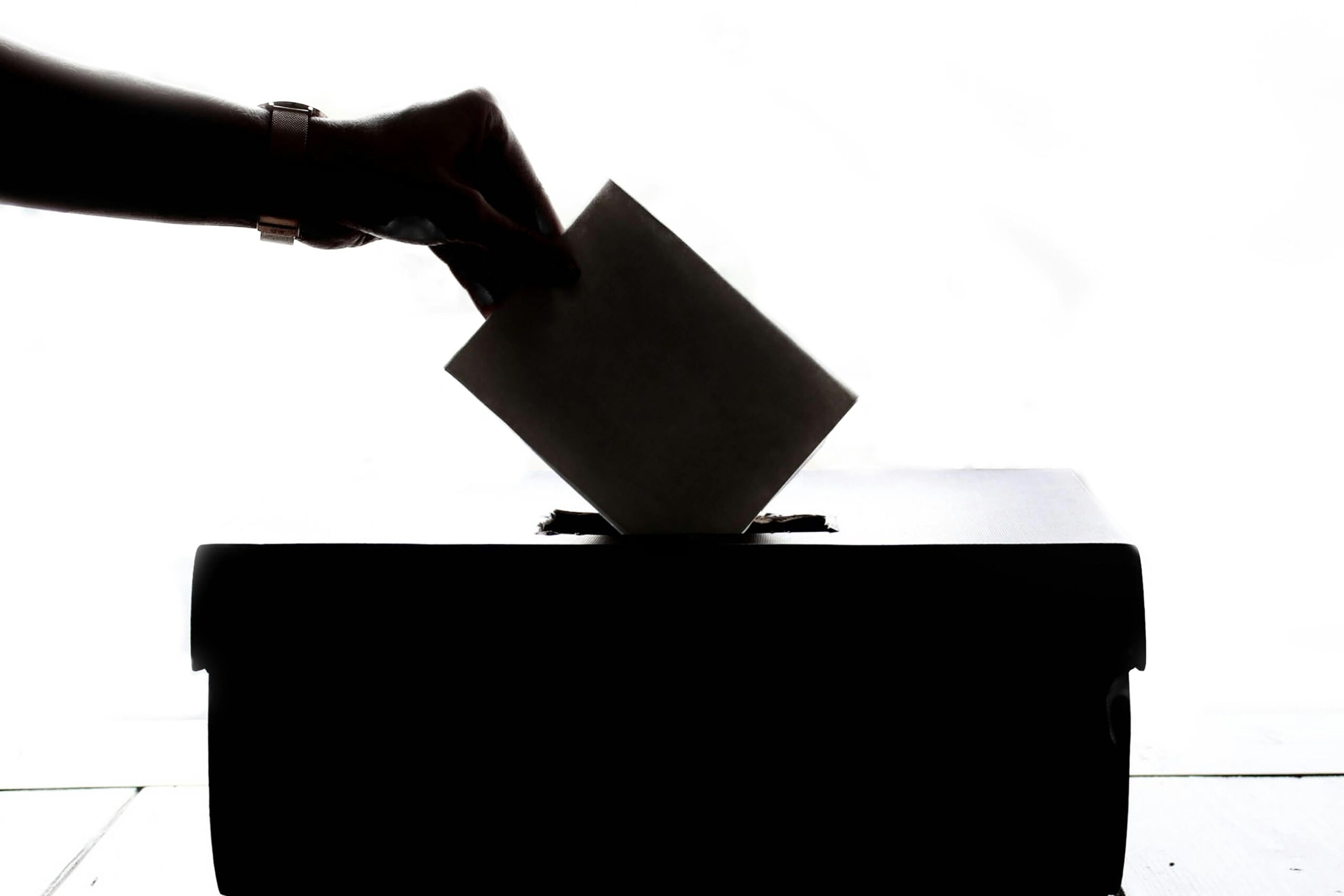 abstention elections legislatives 2024