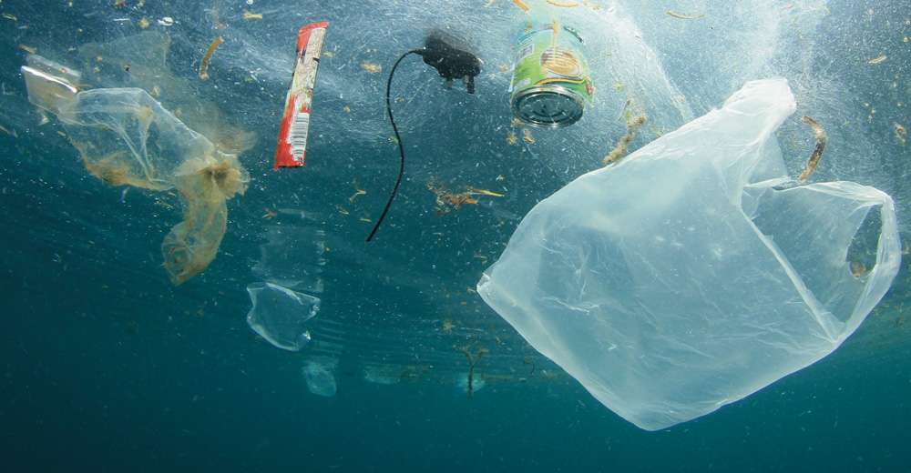 Les macroplastiques se fragmentent sous l’effet mécanique des vagues et l’action des UV pour devenir des microplastiques et finalement des nanoplastiques.